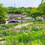 日本大阪自由行