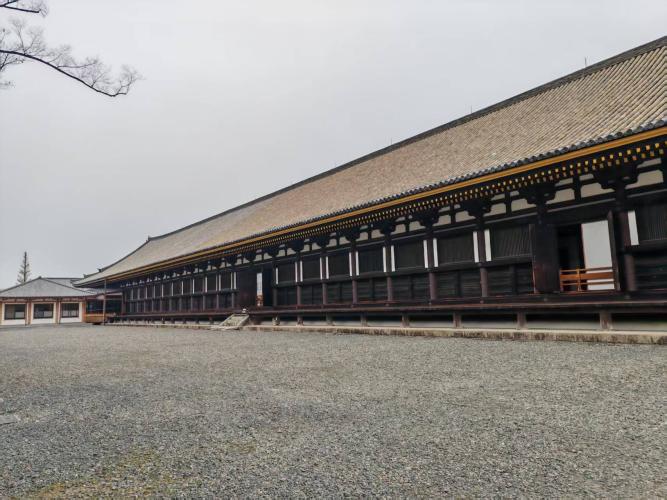 大阪京都自由行